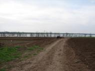 Кріпке - Останні фото