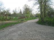 Мельнич з panoramio.com