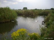 Гаврилівка з panoramio.com