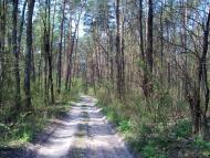 Вишняки з panoramio.com - Вишняки