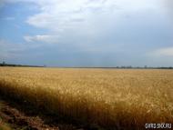 Маленьке з panoramio.com