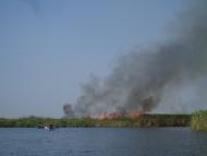 Минівка - Останні фото