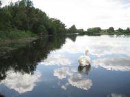 Лука з panoramio.com