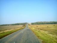 Сидорове з panoramio.com