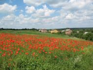 Судова Вишня з panoramio.com