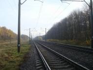 Рідкодуби з panoramio.com