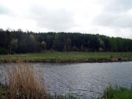 Тарасенки з panoramio.com