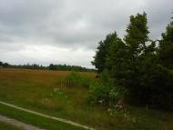 Вирка з panoramio.com