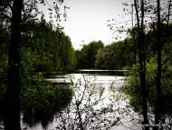 Крупчатка з panoramio.com