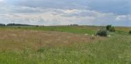 Вільхівка з panoramio.com - Вольховка
