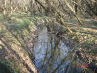 Добротимофіївка з panoramio.com