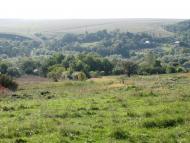 Зіньків з panoramio.com