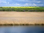 Наддніпрянське з panoramio.com