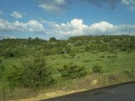 Паліївка з panoramio.com