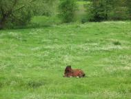 Кузьмин з panoramio.com