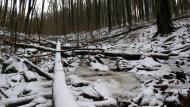 Ворочово з panoramio.com - Ворочево