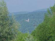 Оноківці з panoramio.com