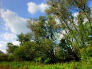 Камінь з panoramio.com