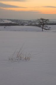 Черкаська Лозова з panoramio.com