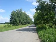 Малиничі з panoramio.com