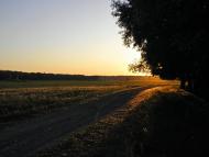 Улянівка з panoramio.com