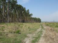 Нова Осота з panoramio.com