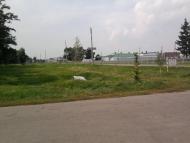 Городецьке з panoramio.com