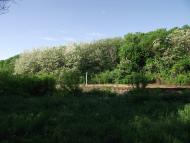 Калінінський з panoramio.com