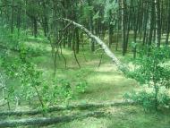 Макухівка з panoramio.com