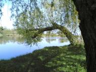 Іванівка з panoramio.com