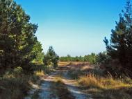 Бодячів з panoramio.com