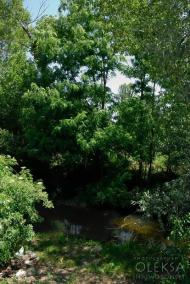 Айвове з panoramio.com