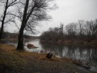 Довге з panoramio.com