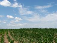 Халявин з panoramio.com