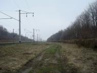 Стодульці з panoramio.com