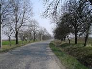 Нижній Коропець з panoramio.com