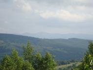 Орів з panoramio.com - Оров