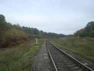 Буйволівці з panoramio.com