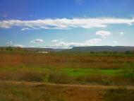 Дачне з panoramio.com