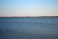 Дарівка з panoramio.com
