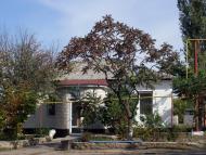 Новоолександрівка з panoramio.com