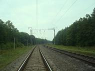 Цвітоха з panoramio.com