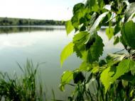 Димитрове з panoramio.com