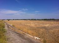 Дрофине з panoramio.com