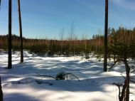 Макалевичі з panoramio.com