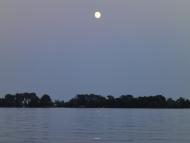 Петровського з panoramio.com