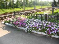 Артемівка з panoramio.com