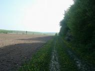 Маціорськ з panoramio.com