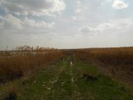 Знаменівка з panoramio.com