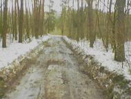 Новий Білоус з panoramio.com